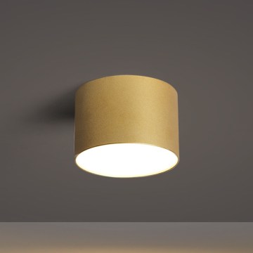 BRILAGI - Plafonnier d'extérieur FORIS LED/9W/230V Ø 9 cm doré IP44