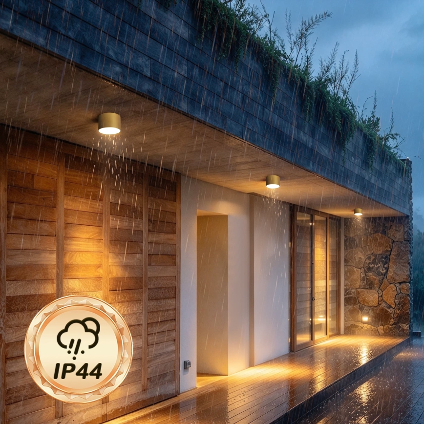BRILAGI - Plafonnier d'extérieur FORIS LED/9W/230V Ø 9 cm doré IP44