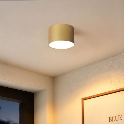 BRILAGI - Plafonnier d'extérieur FORIS LED/9W/230V Ø 9 cm doré IP44