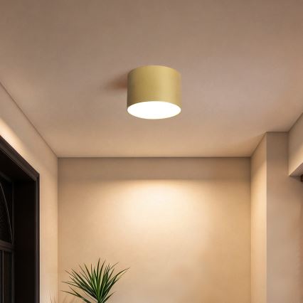 BRILAGI - Plafonnier d'extérieur FORIS LED/9W/230V Ø 9 cm doré IP44