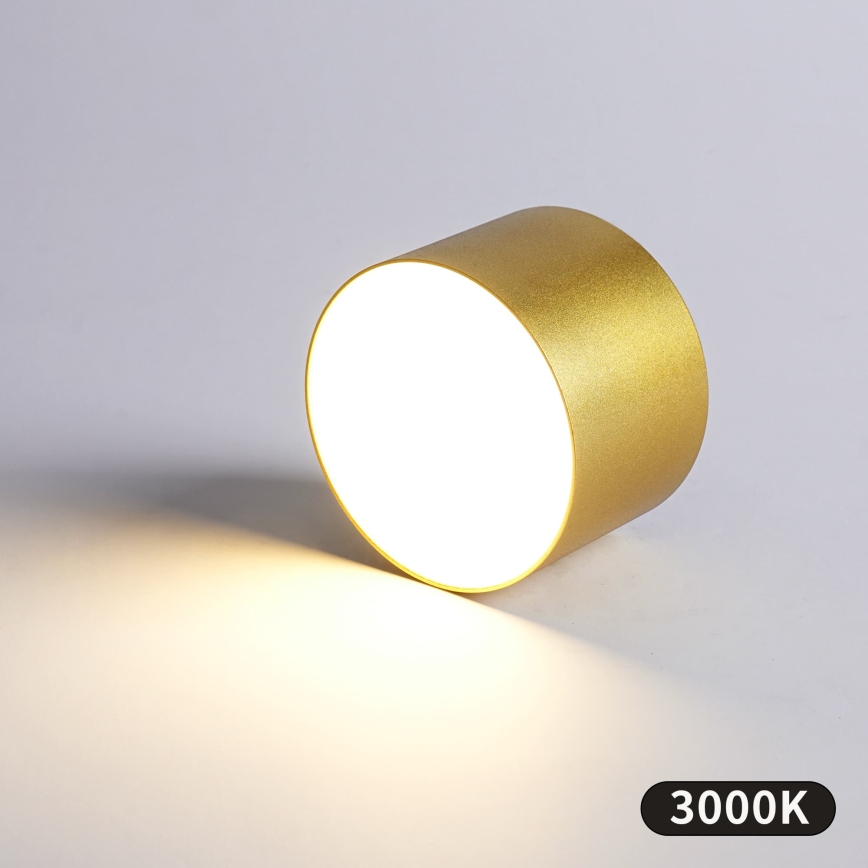 BRILAGI - Plafonnier d'extérieur FORIS LED/9W/230V Ø 9 cm doré IP44