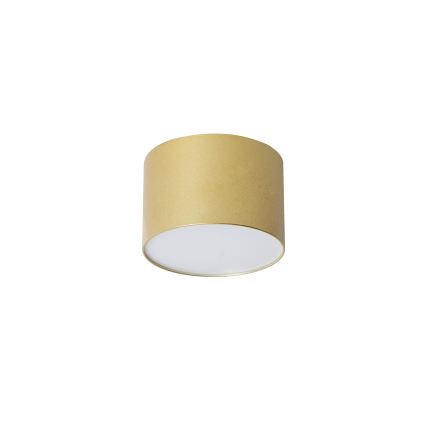 BRILAGI - Plafonnier d'extérieur FORIS LED/9W/230V Ø 9 cm doré IP44