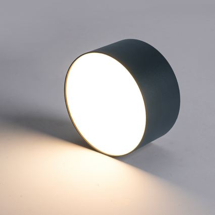 BRILAGI - Plafonnier extérieur LED FORIS LED/20W/230V pr. 15 cm antracit IP44