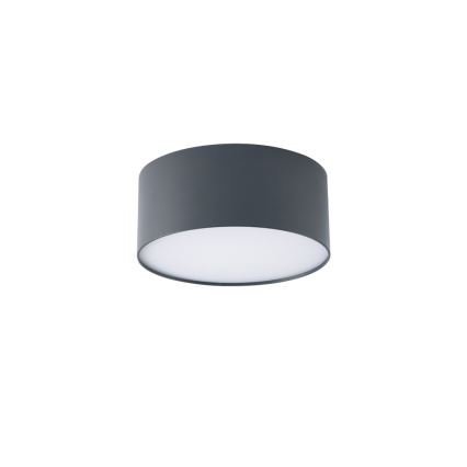 BRILAGI - Plafonnier extérieur LED FORIS LED/20W/230V pr. 15 cm antracit IP44