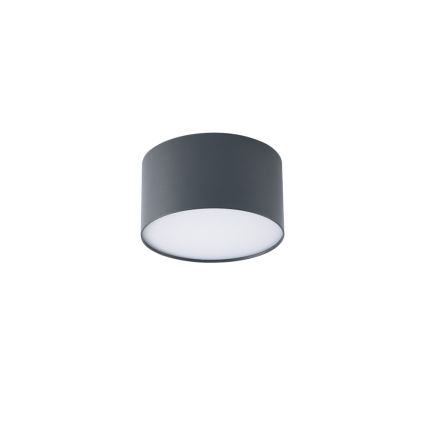 BRILAGI - plafonnier d'extérieur à LED FORIS LED/9W/230V Ø 9 cm anthracite IP44