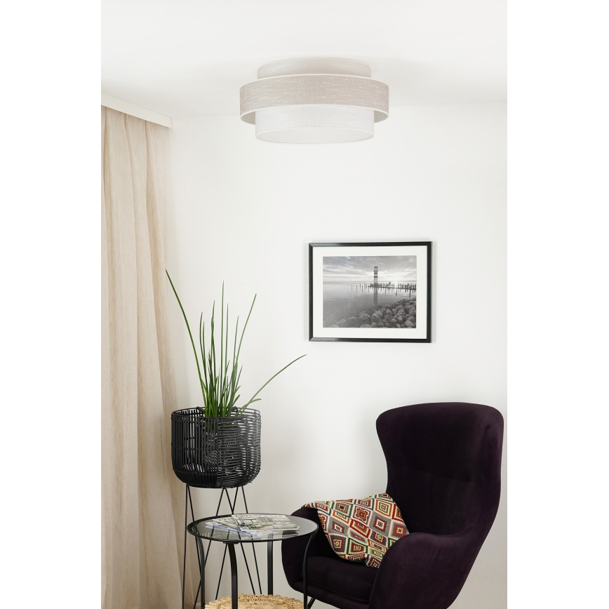Brilagi - Plafonnier DOVER SPACE LED/12W/230V d. 50 cm 3000K/4000K/6400K gris/crème