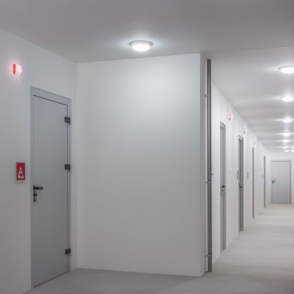 Brilagi - Plafonnier extérieur LED/13W/230V d. 17 cm IP54