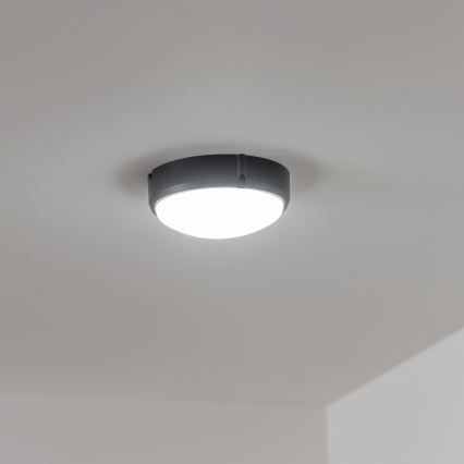Brilagi - Plafonnier industriel LED SIMA LED/12W/230V IP65 noir