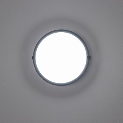 Brilagi - Plafonnier industriel LED SIMA LED/12W/230V IP65 noir