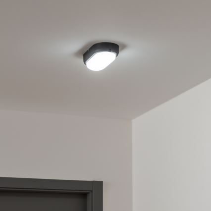 Brilagi - Plafonnier industriel LED SIMA LED/12W/230V IP65 noir