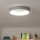 Brilagi - Plafonnier LED à intensité variable FALCON LED/40W/230V 3000-6500K gris + télécommande