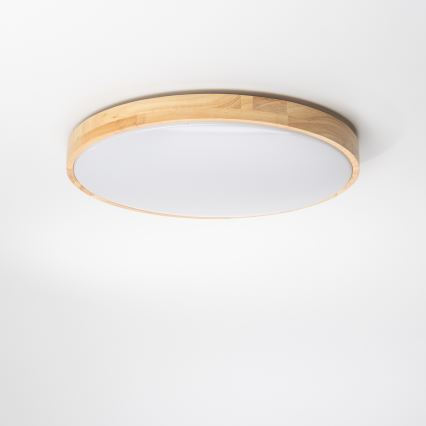 Brilagi - Plafonnier LED à intensité variable PINE  LED/24W/230V + télécommande