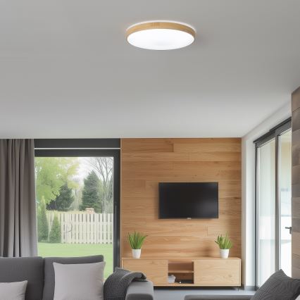 Brilagi - Plafonnier LED à intensité variable PINE  LED/24W/230V + télécommande