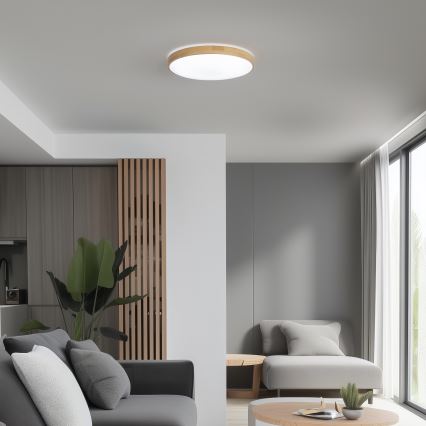 Brilagi - Plafonnier LED à intensité variable PINE  LED/24W/230V + télécommande