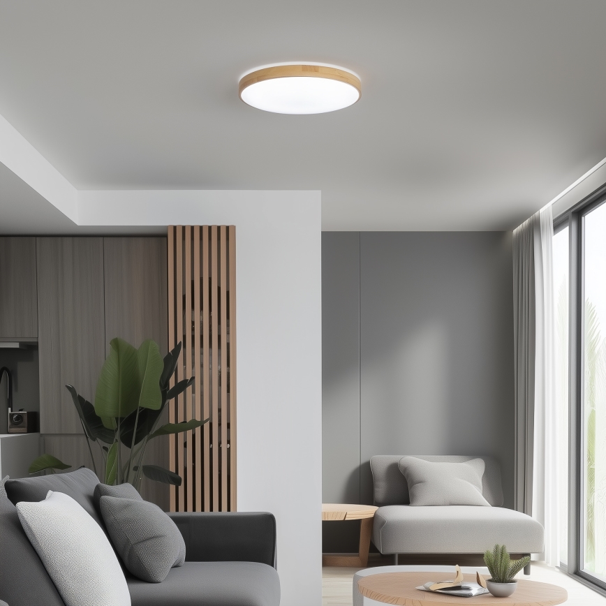 Brilagi - Plafonnier LED à intensité variable PINE  LED/24W/230V + télécommande