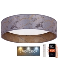 Brilagi - Plafonnier LED à intensité variable VELVET SMART LED/36W/230V d. 55 cm 2700-6500K Wi-Fi Tuya gris/doré + télécommande