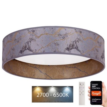 Brilagi - Plafonnier LED à intensité variable VELVET SMART LED/36W/230V d. 55 cm 2700-6500K Wi-Fi Tuya gris/doré + télécommande