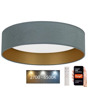 Brilagi - Plafonnier LED à intensité variable VELVET SMART LED/36W/230V d. 55 cm 2700-6500K Wi-Fi Tuya menthe/doré + télécommande