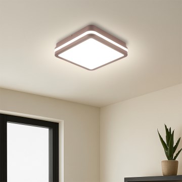 Brilagi - Plafonnier LED d'extérieur BENE avec capteur LED/18W/230V 21,5x21,5 cm marron IP54