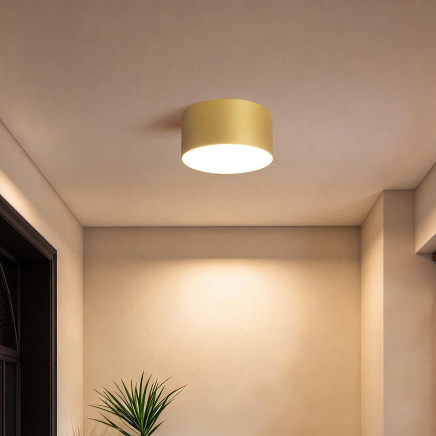 BRILAGI - Plafonnier LED d'extérieur FORIS LED/14W/230V Ø 12 cm doré IP44