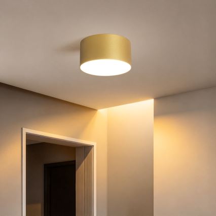 BRILAGI - Plafonnier LED d'extérieur FORIS LED/14W/230V Ø 12 cm doré IP44