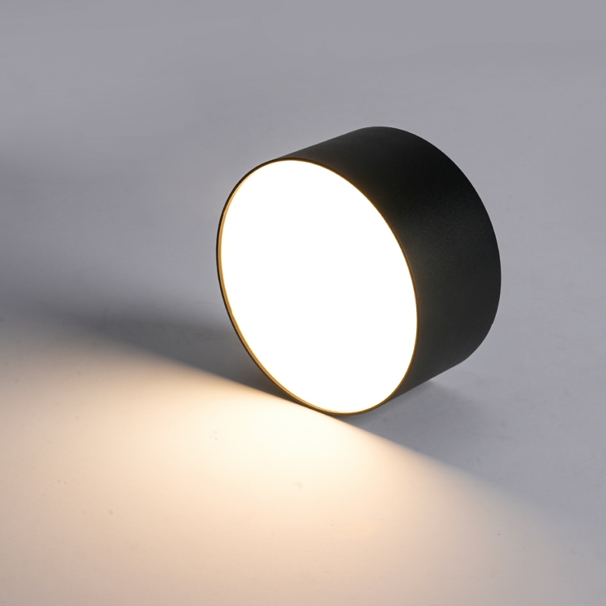 BRILAGI - Plafonnier LED d'extérieur FORIS LED/20W/230V Ø 15 cm noir IP44