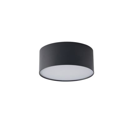 BRILAGI - Plafonnier LED d'extérieur FORIS LED/20W/230V Ø 15 cm noir IP44