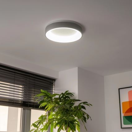 Brilagi - Plafonnier LED dimmable FALCON LED/40W/230V 3000–6500K Ø 45 cm gris + télécommande