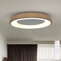 BRILAGI - Plafonnier LED dimmable DORIA LED/60W/230V 3000-6500K Ø 60 cm + télécommande