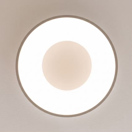 BRILAGI - Plafonnier LED dimmable FALCON II LED/67W/230V 3000-6500K Ø 40 cm blanc/beige + télécommande