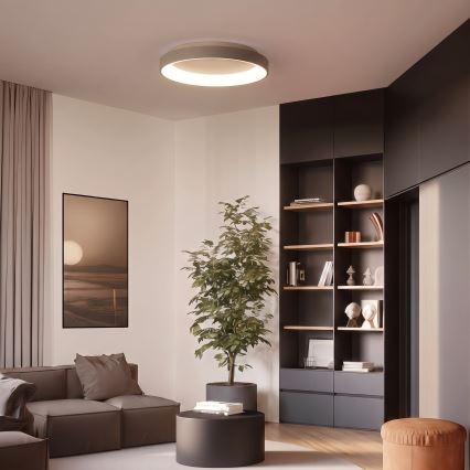 BRILAGI - Plafonnier LED dimmable FALCON II LED/99W/230V 3000-6500K Ø 60 cm blanc/beige + télécommande