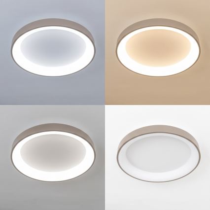 BRILAGI - Plafonnier LED dimmable FALCON II LED/99W/230V 3000-6500K Ø 60 cm blanc/beige + télécommande