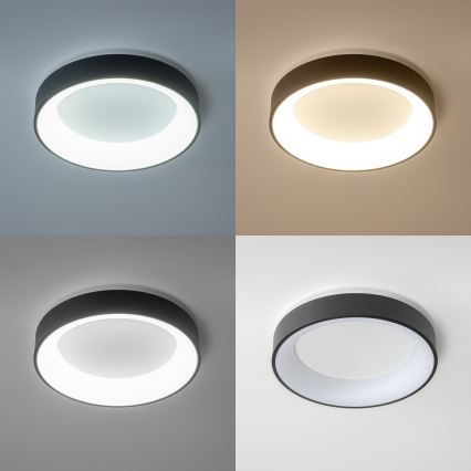 Brilagi - Plafonnier LED dimmable FALCON LED/80W/230V 3000-6500K Ø 60 cm noir + télécommande