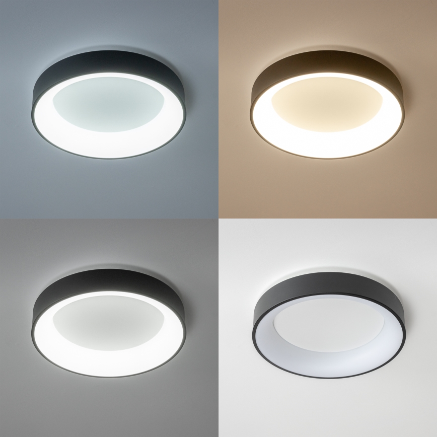 Brilagi - Plafonnier LED dimmable FALCON LED/80W/230V 3000-6500K Ø 60 cm noir + télécommande