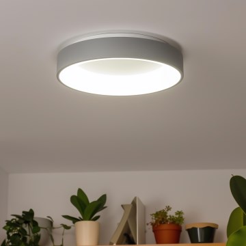 Brilagi - Plafonnier LED dimmable FALCON LED/80W/230V 3000-6500K Ø 60 cm gris + télécommande