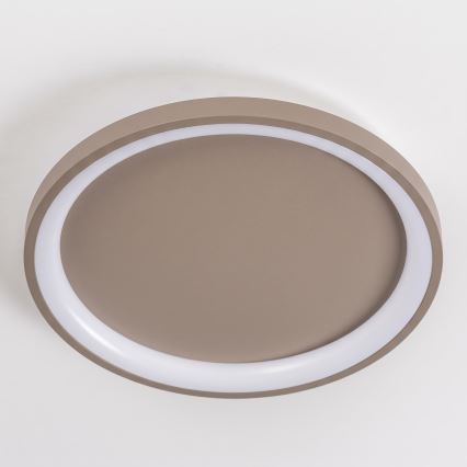 BRILAGI - Plafonnier LED dimmable FALCON SLIM LED/42W/230V 3000-6500K Ø 50 cm beige + télécommande