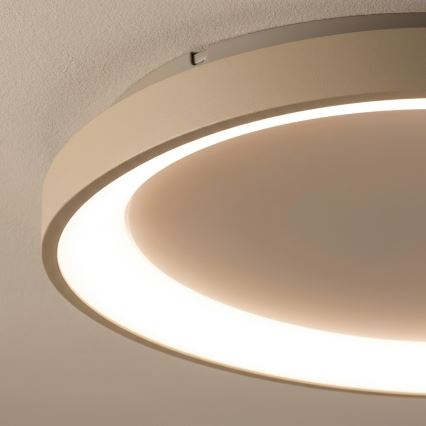 BRILAGI - Plafonnier LED dimmable FALCON SLIM LED/42W/230V 3000-6500K Ø 50 cm beige + télécommande