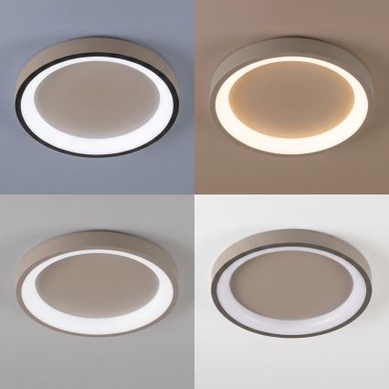 BRILAGI - Plafonnier LED dimmable FALCON SLIM LED/42W/230V 3000-6500K Ø 50 cm beige + télécommande