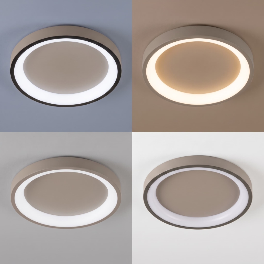 BRILAGI - Plafonnier LED dimmable FALCON SLIM LED/42W/230V 3000-6500K Ø 50 cm beige + télécommande
