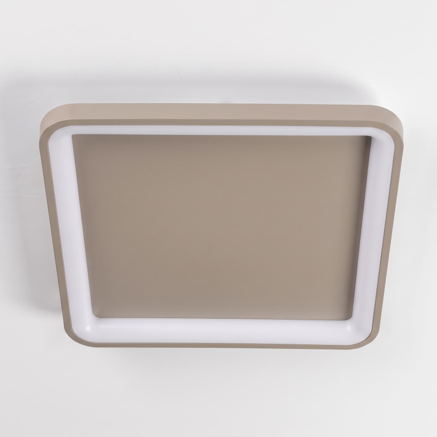 BRILAGI - Plafonnier LED dimmable FALCON SLIM LED/50W/230V 3000-6500K 50x50 cm beige + télécommande