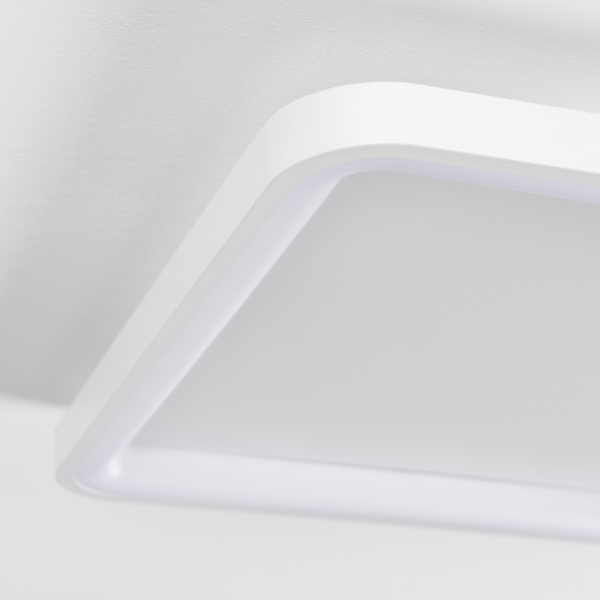 Brilagi - Plafonnier LED dimmable FALCON SLIM LED/50W/230V 3000-6500K 50x50 cm blanc + télécommande