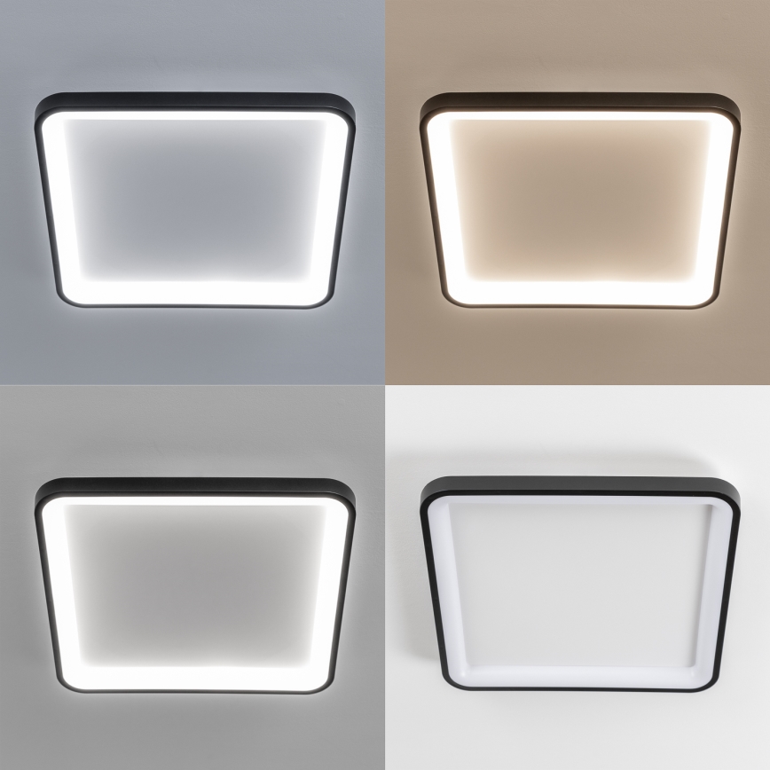 Brilagi - Plafonnier LED dimmable FALCON SLIM LED/50W/230V 3000-6500K 50x50 cm noir + télécommande