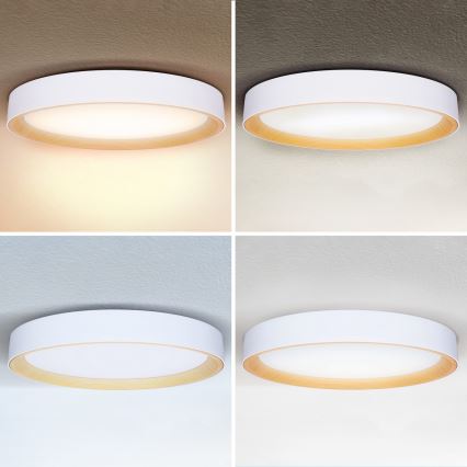 Brilagi - Plafonnier LED dimmable LARIOS LED/72W/230V blanc diam. 59 cm + télécommande