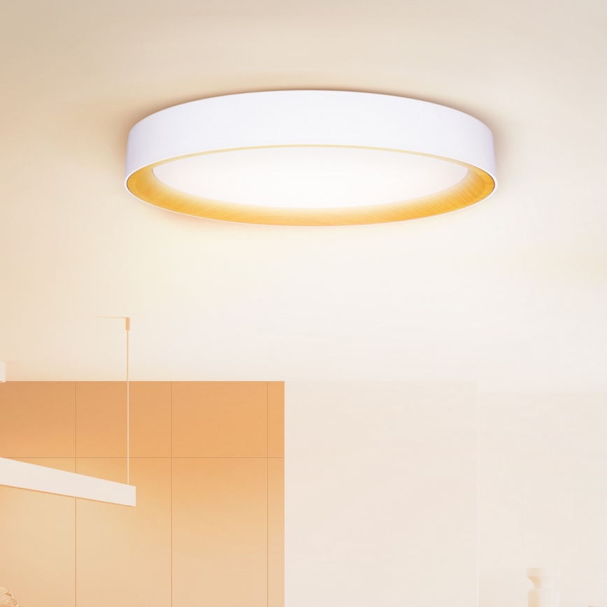 Brilagi - Plafonnier LED dimmable LARIOS LED/72W/230V blanc diam. 59 cm + télécommande