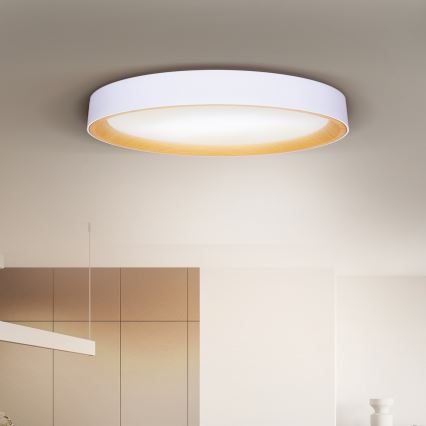 Brilagi - Plafonnier LED dimmable LARIOS LED/72W/230V blanc diam. 59 cm + télécommande
