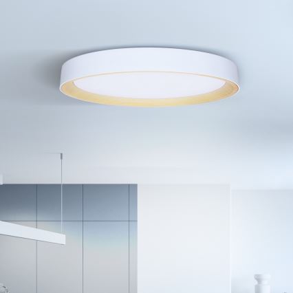 Brilagi - Plafonnier LED dimmable LARIOS LED/72W/230V blanc diam. 59 cm + télécommande