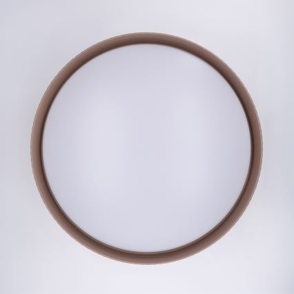 Brilagi - Luminaire de plafond LED dimmable LUCIA, 60 W / 230 V, 3000–6500 K, Ø 59 cm, marron + télécommande