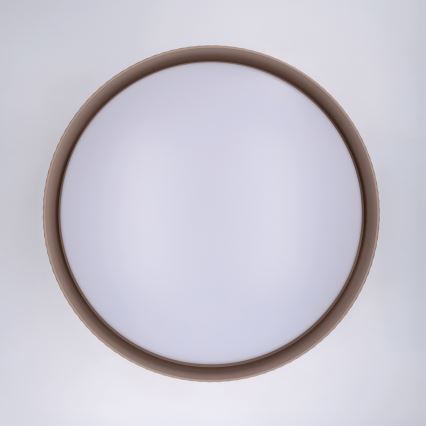 Brilagi - Plafonnier LED dimmable LUCIA LED/60W/230V 3000-6500K Ø 59 cm taupe + télécommande