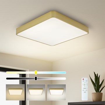 Brilagi - plafonnier LED dimmable POOL LED/36W/230V 3000-6000K 40x40 cm doré + télécommande