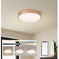 BRILAGI - Plafonnier LED dimmable POOL SMART LED/48W/230V 3000-6000K Ø 40 cm Wi-Fi Tuya bronze + télécommande